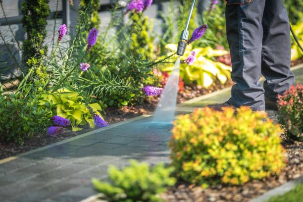 Spring Cleaning in Baxley, GA